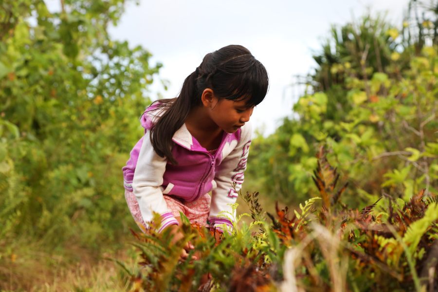 10 Niuean Words to Know When Visiting Niue