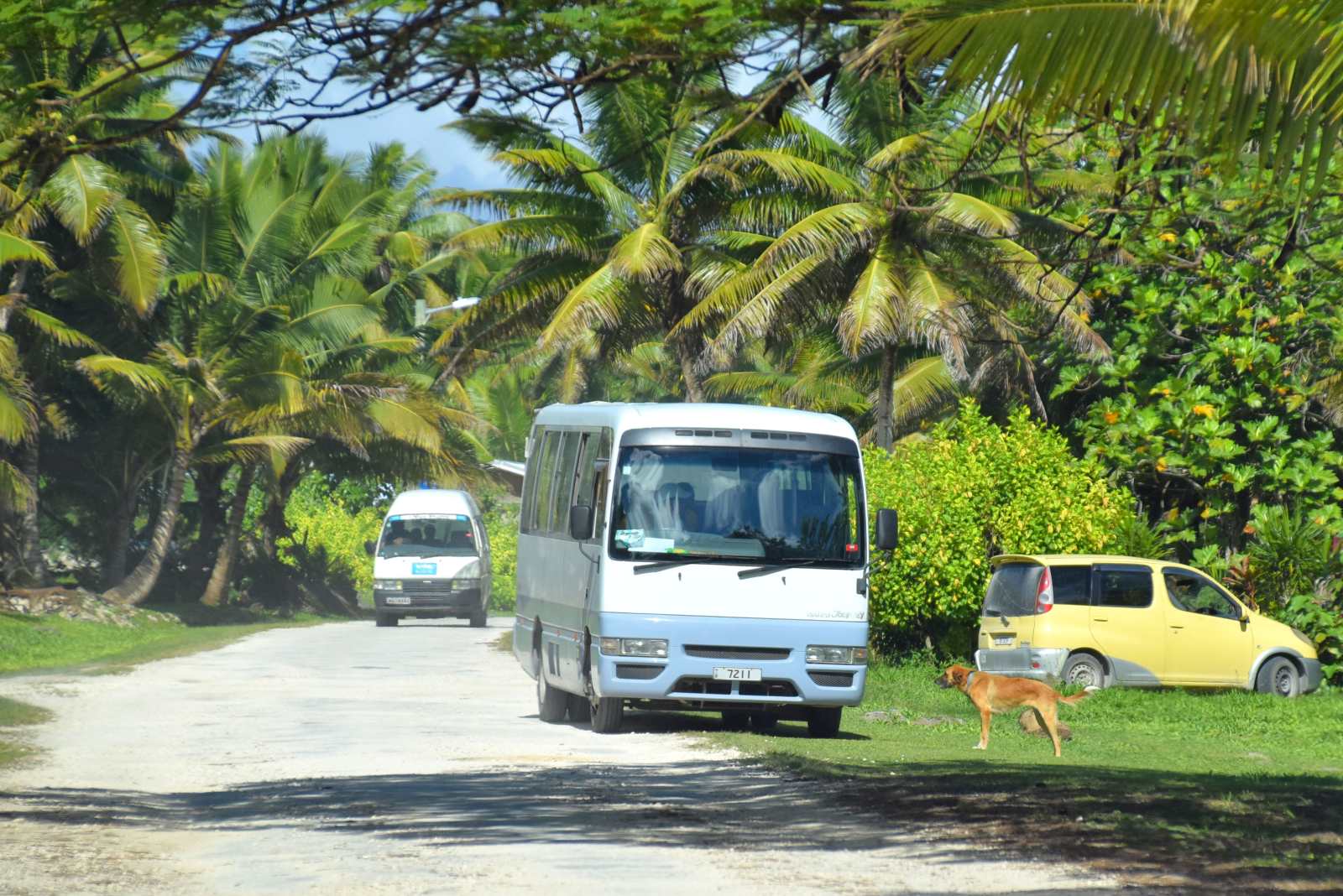 6 Types of Transport in Niue