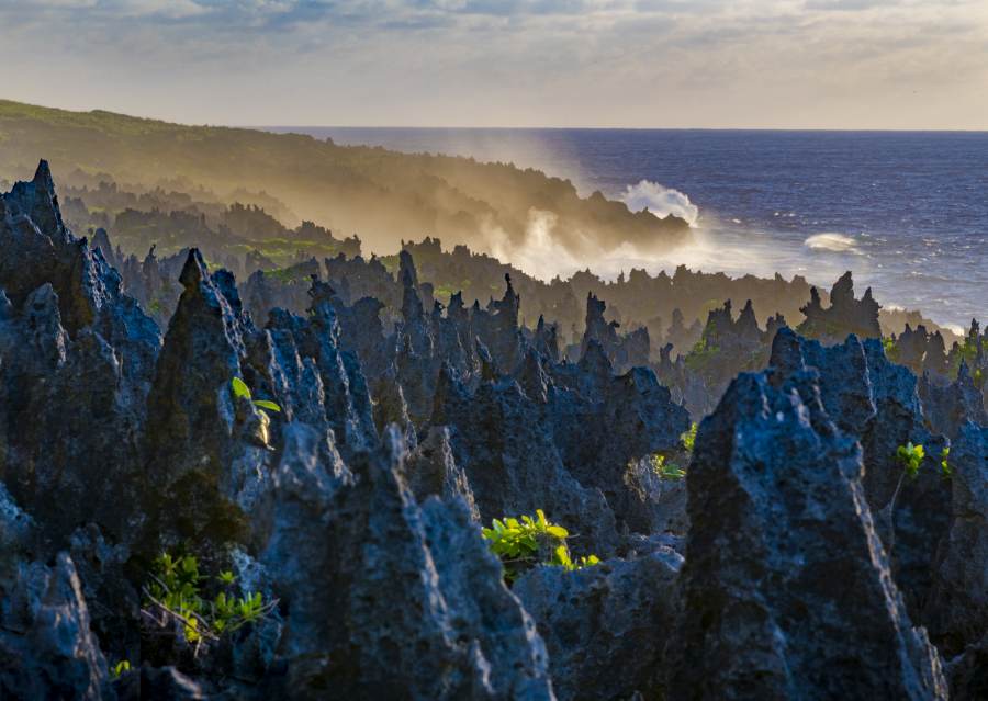 Niue Luxury Itinerary: 14 Days