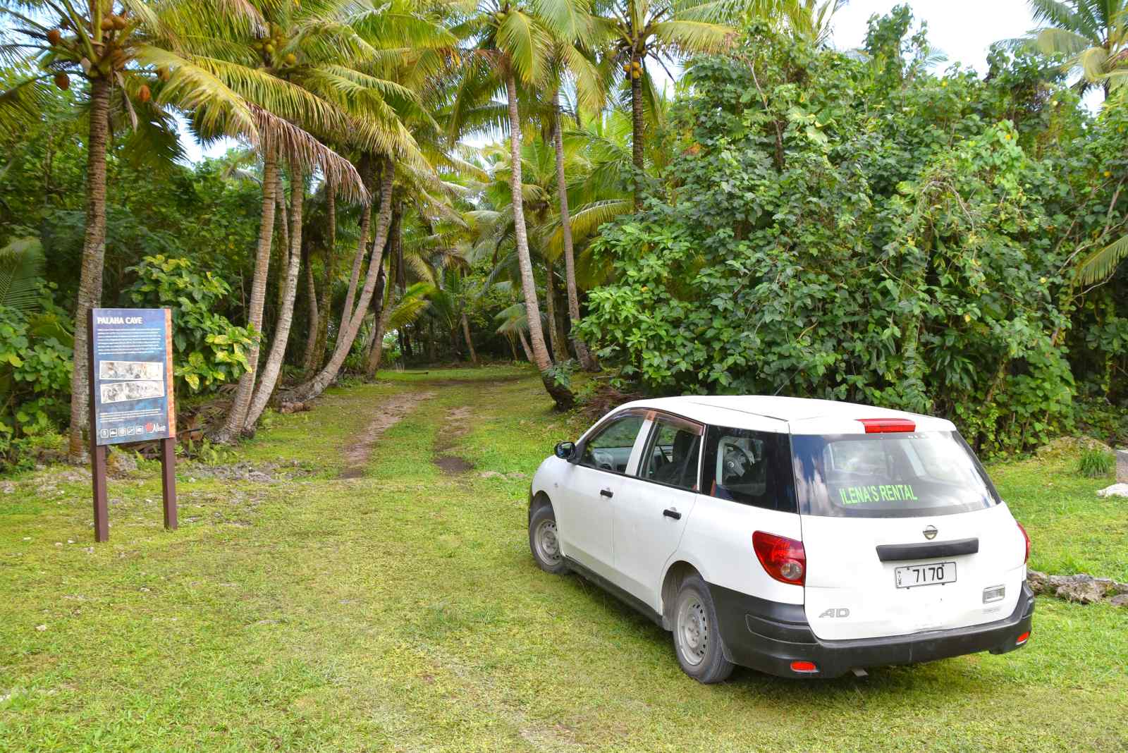 Should You Rent a Car or Use a Taxi in Niue?