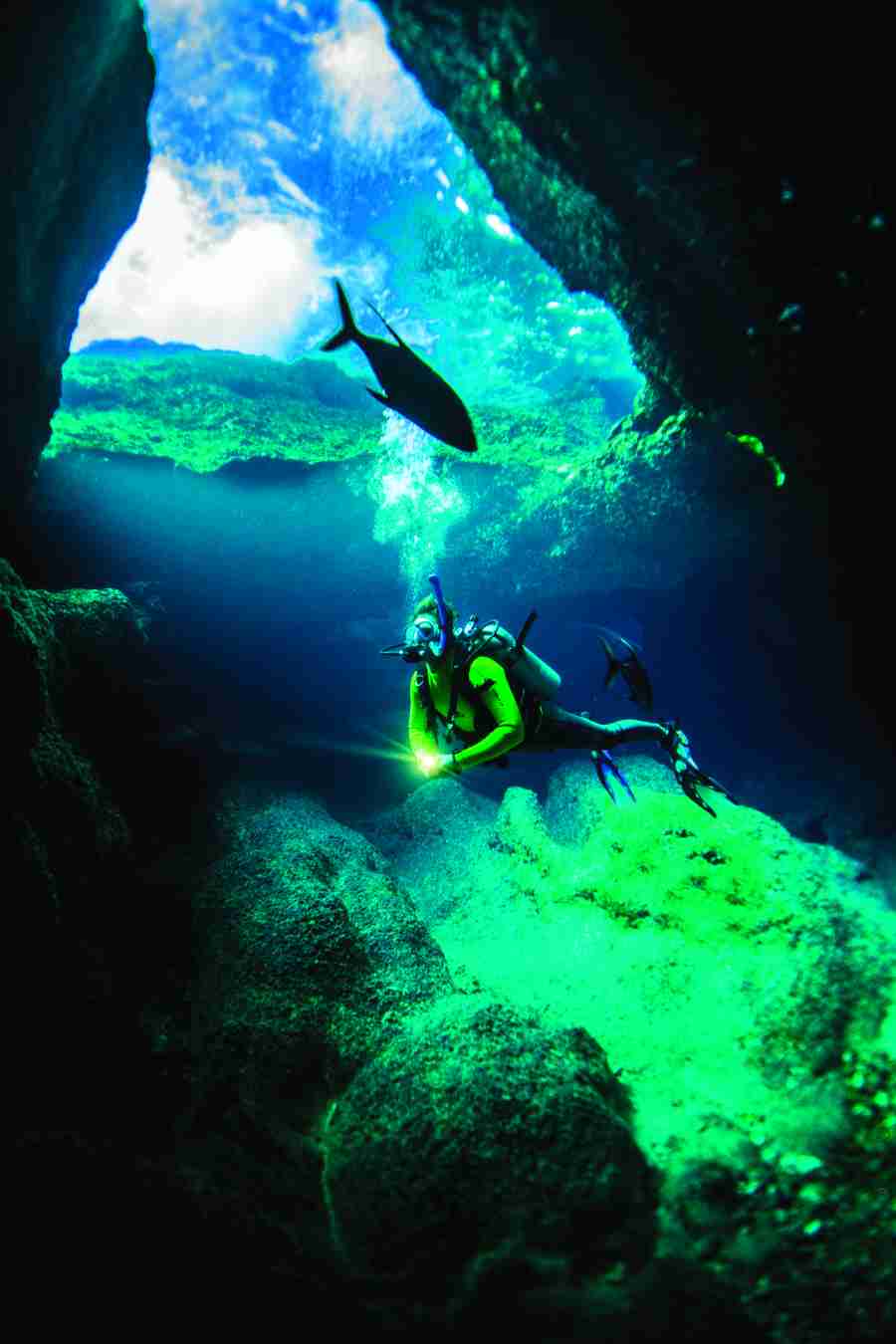 Niue Adult-Only Itinerary: 7 Days
