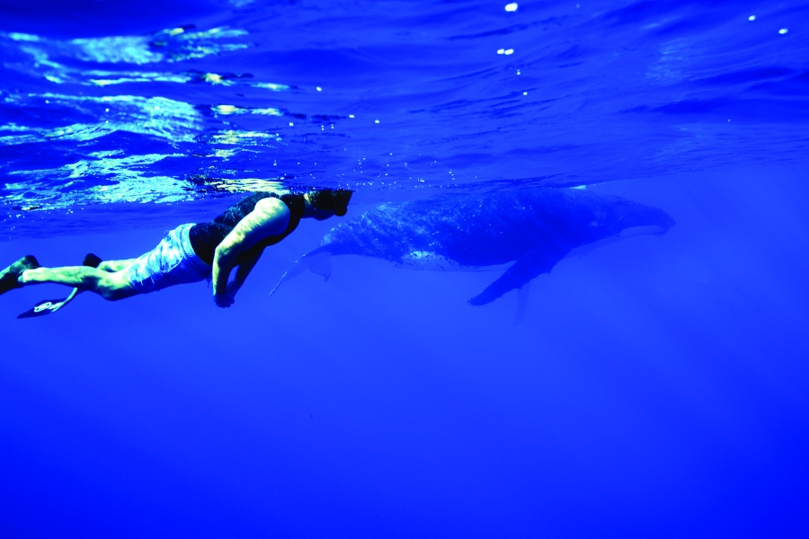 30 Tips for Travelling in Niue