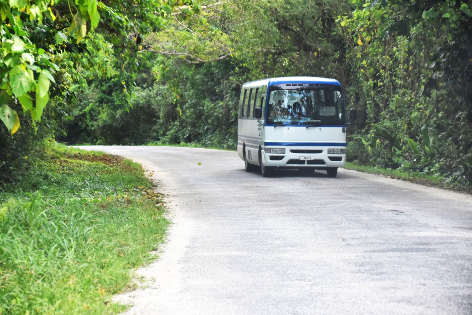 Public Transport in Niue