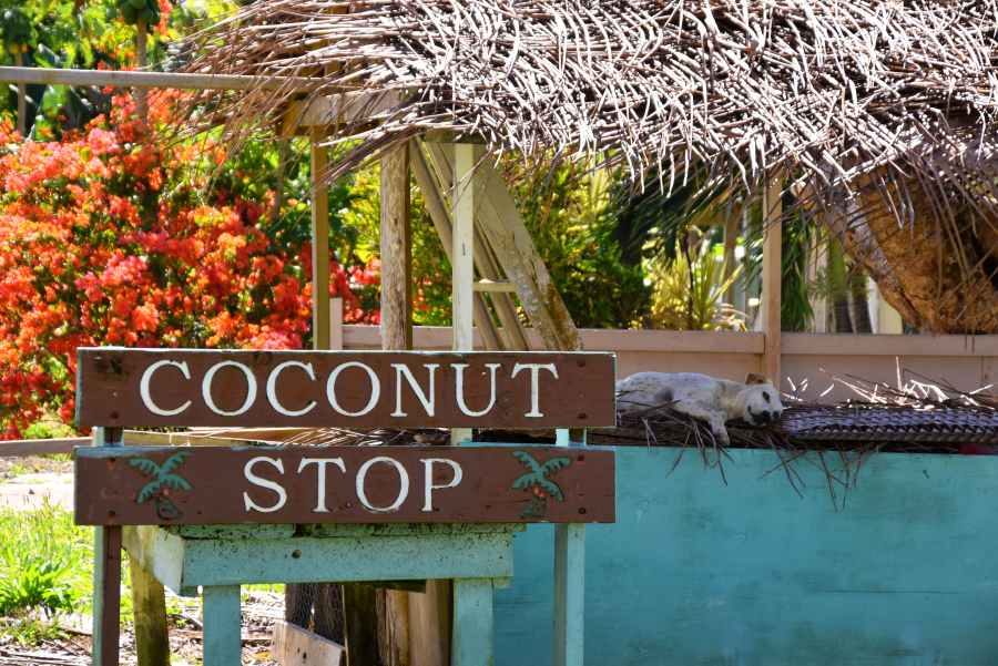 The Guide to Food Shopping in Niue