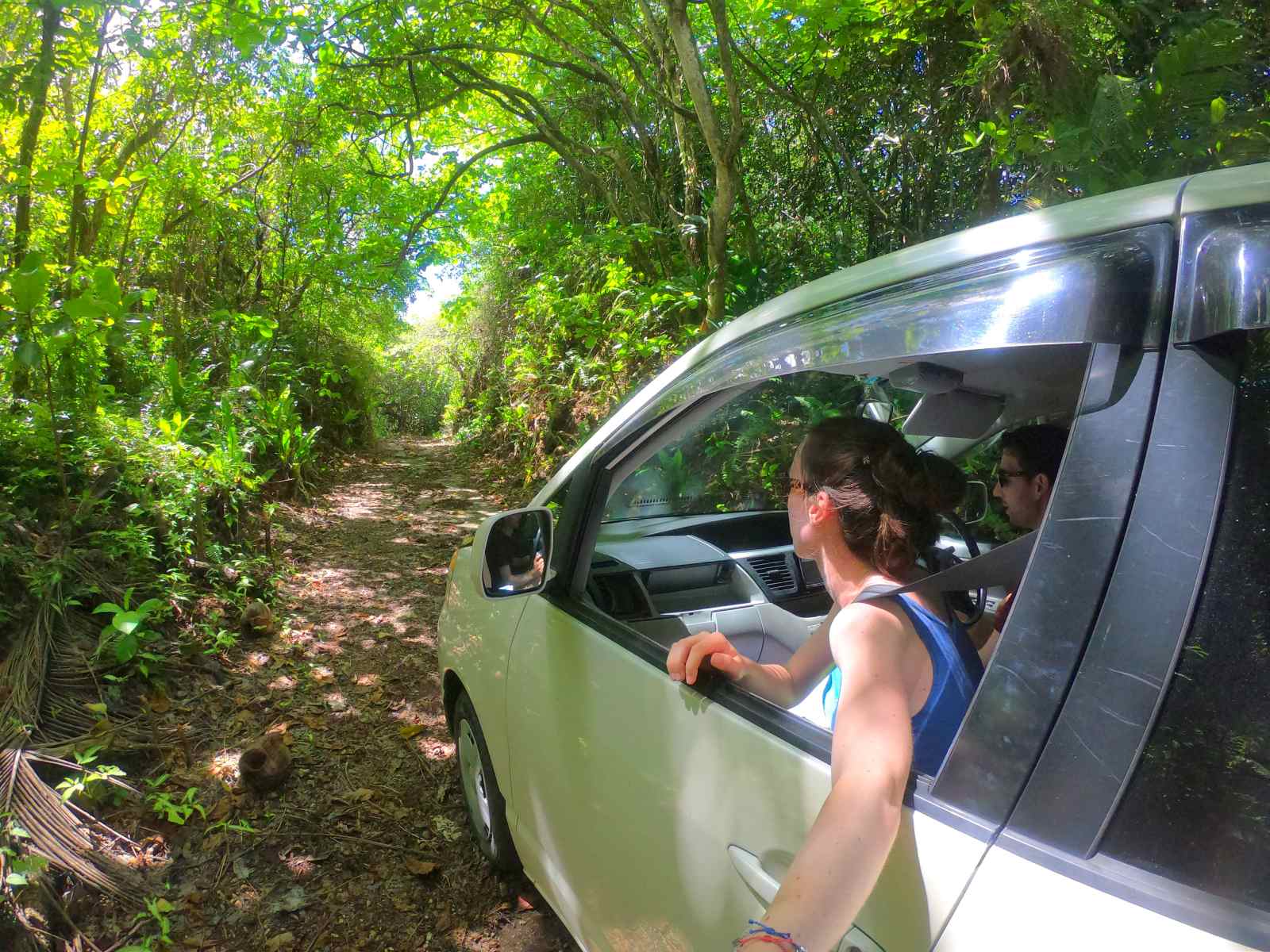 How to Get Around Niue