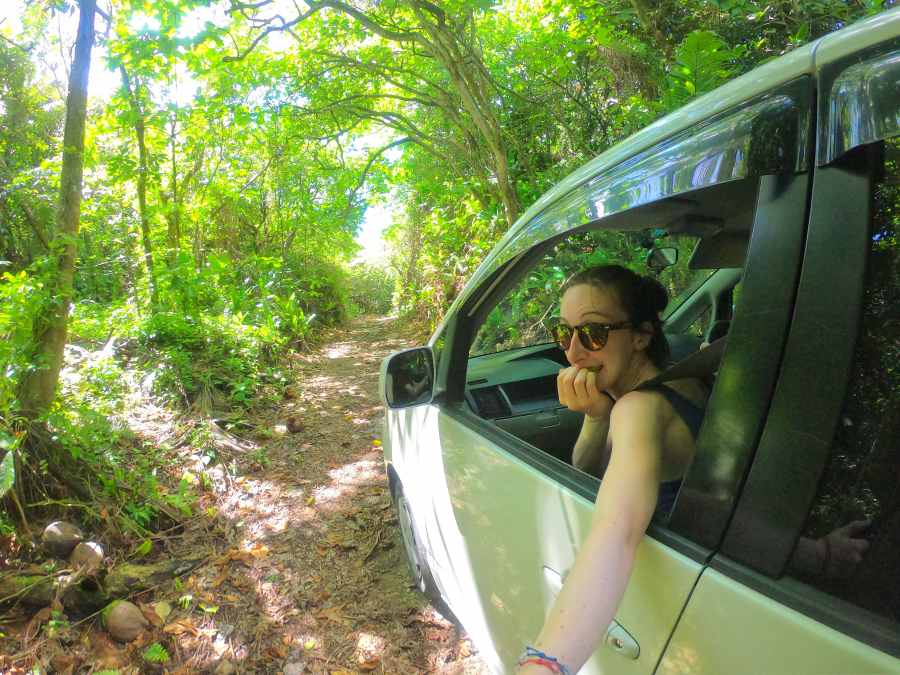 10 Safety Tips for Driving in Niue