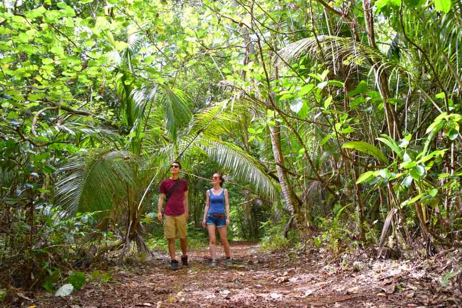 Niue Honeymoon Itinerary: 14 Days