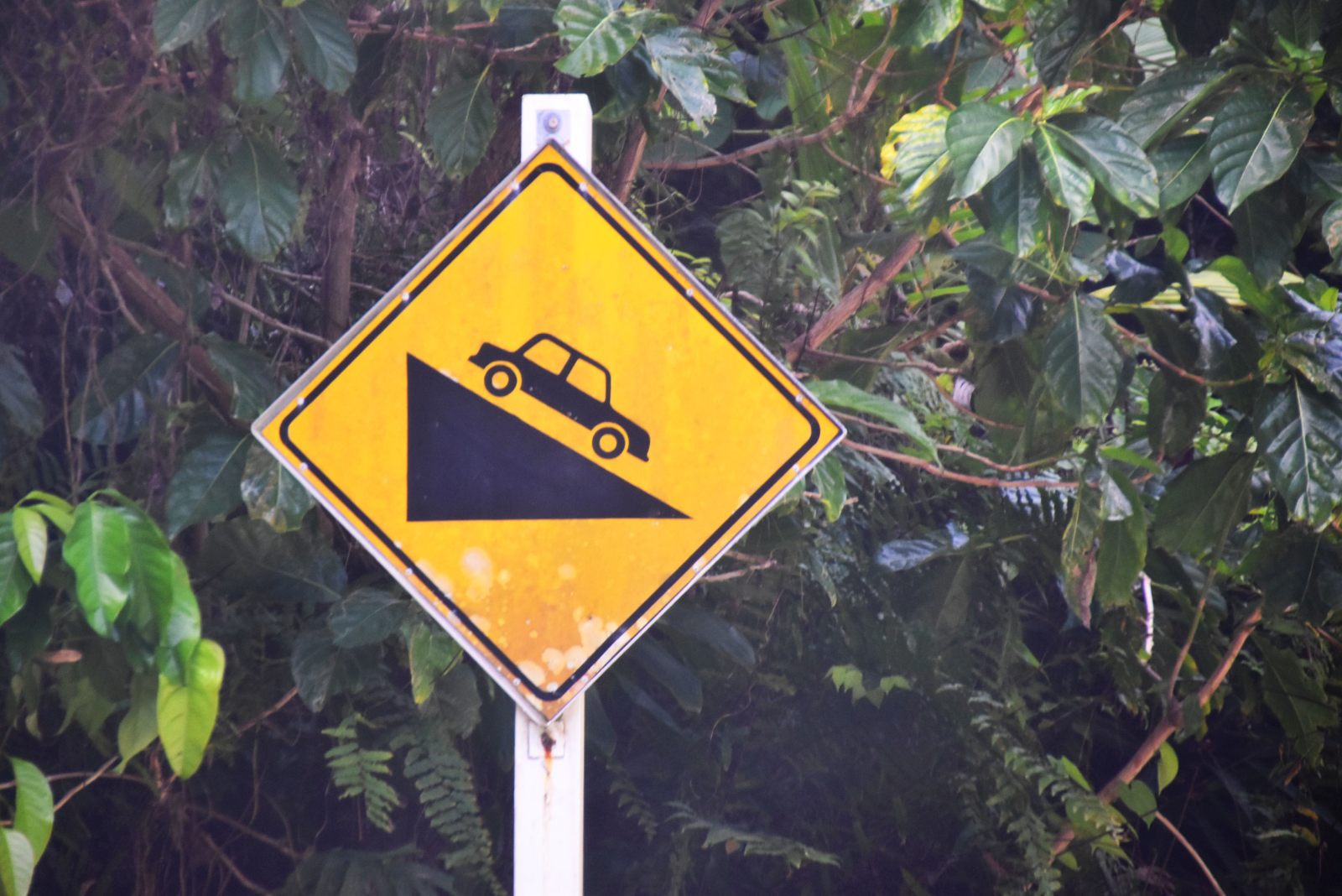 How to Drive in Niue