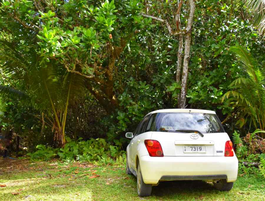 The Guide to Car Hire in Niue