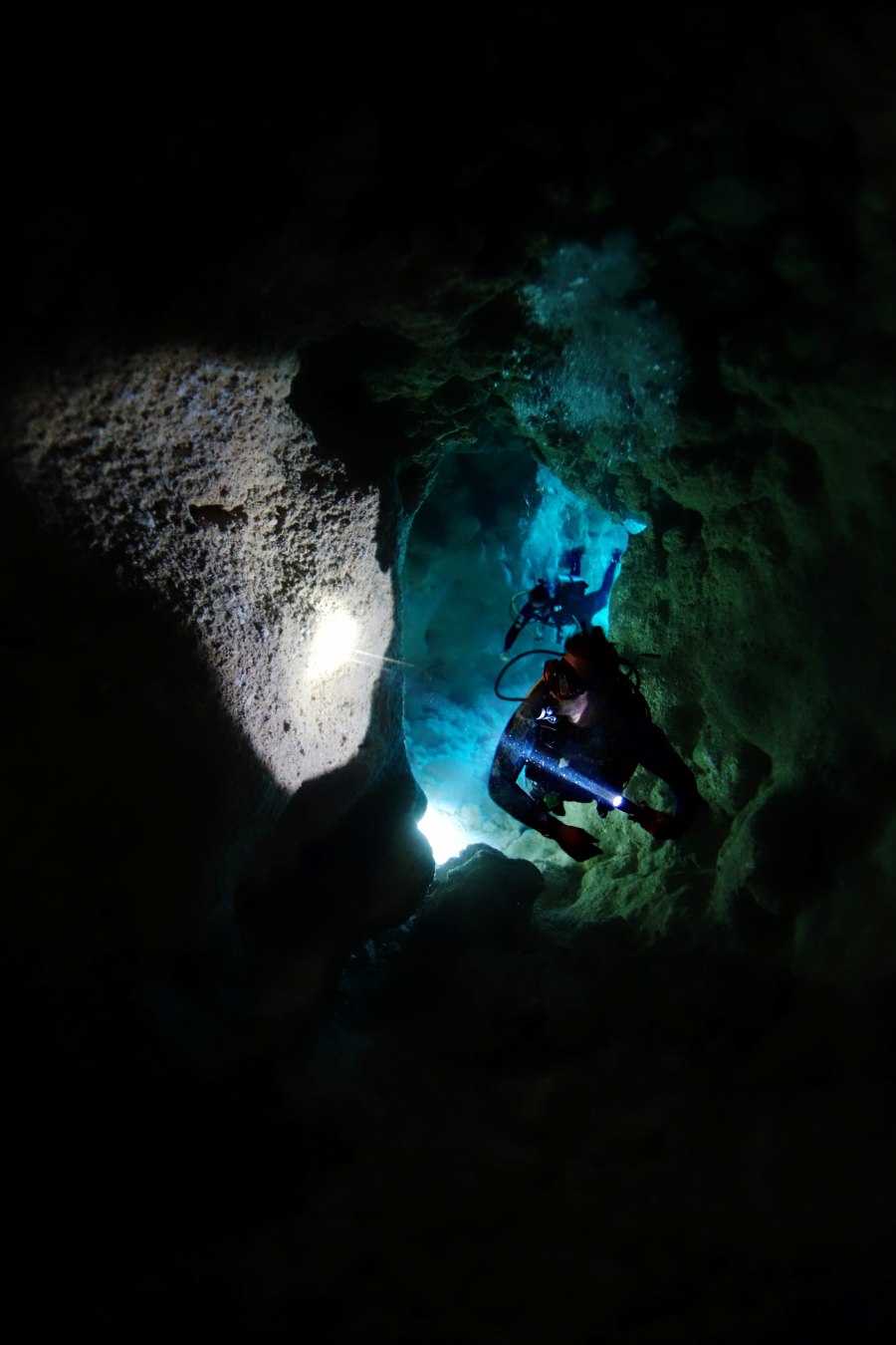 10 Best Dive Sites in Niue