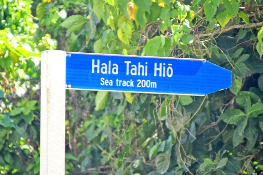 Hio Sea Track Sign Blue Mandatory Credit To NiuePocketGuide.com Small 1