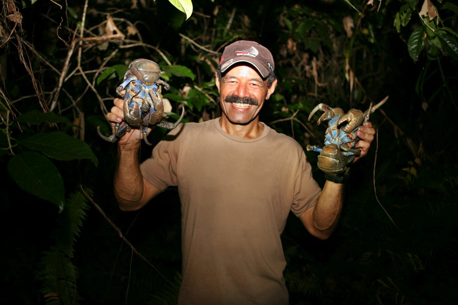 8 Ways See Uga (Coconut Crabs) in Niue