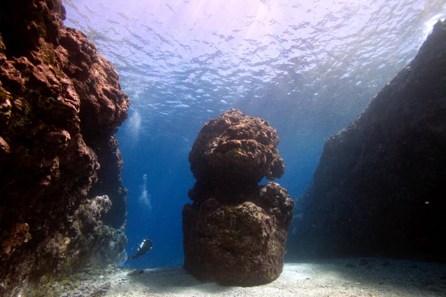 10 Amazing Reasons to Scuba Dive in Niue
