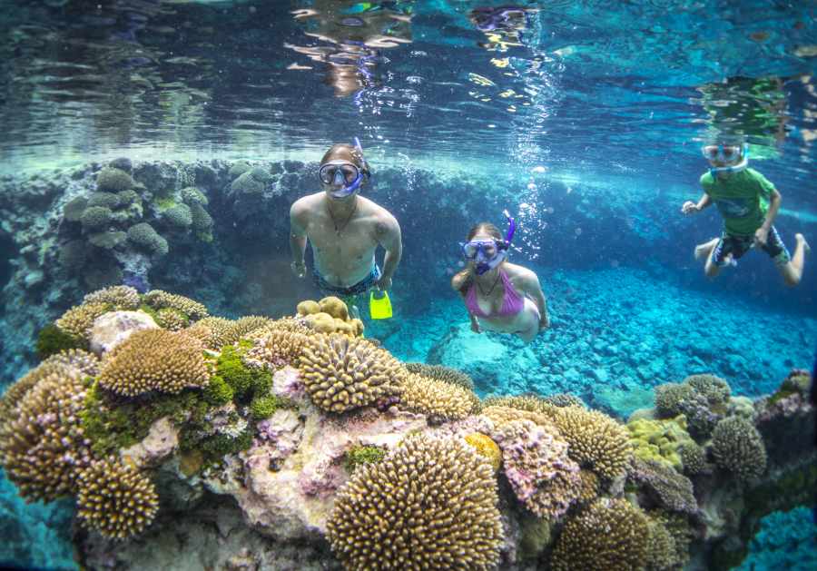 10 Snorkelling Tips for Niue