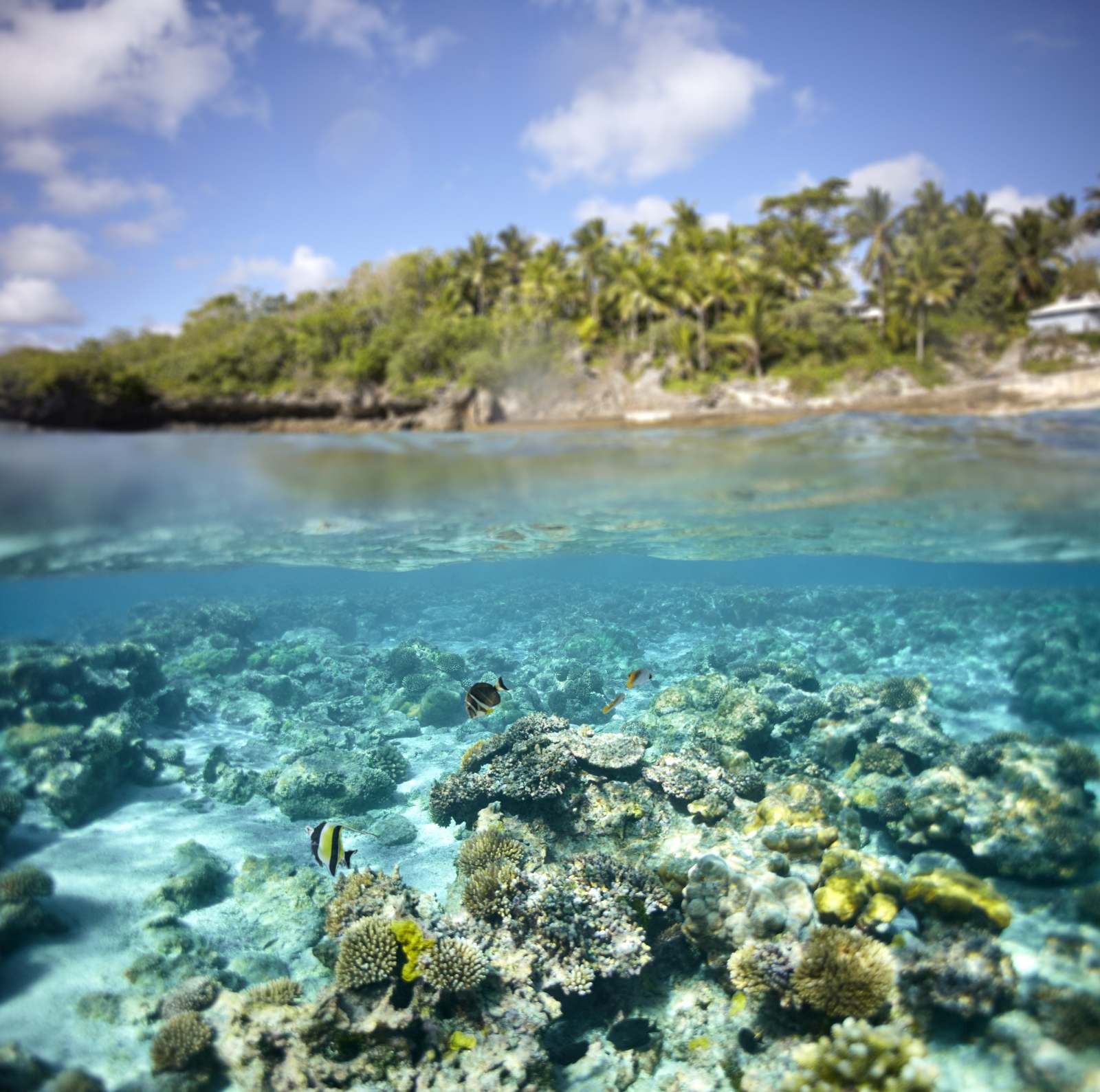 Niue's Best Tidal Activities & Attractions
