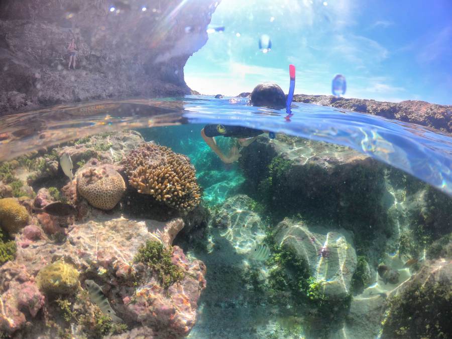 The Best Guided Snorkelling Tours in Niue