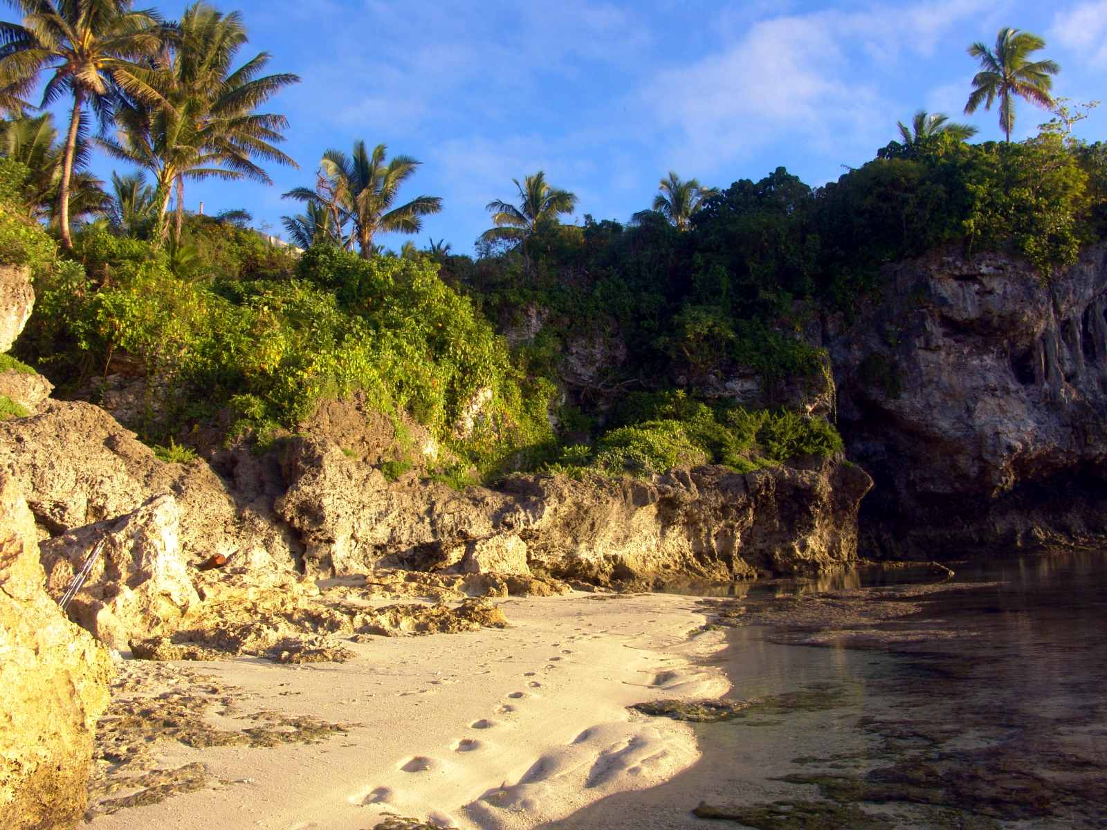 5 Best Beaches in Niue