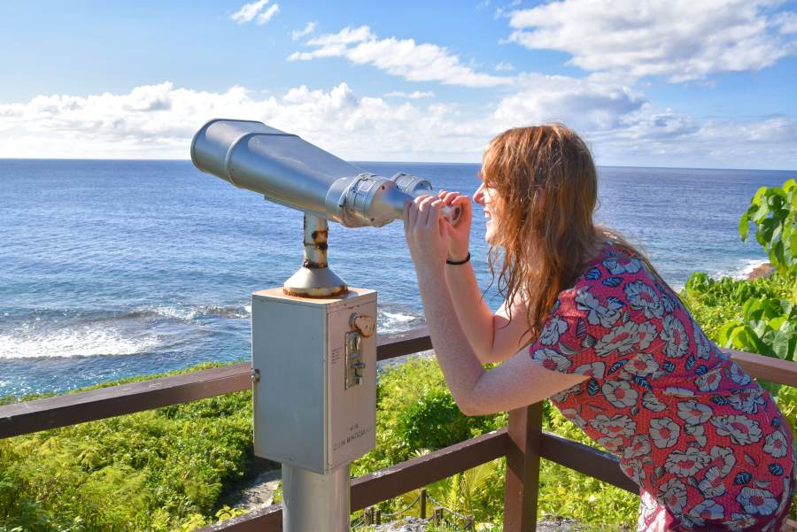 10 Tips for Whale Watching in Niue