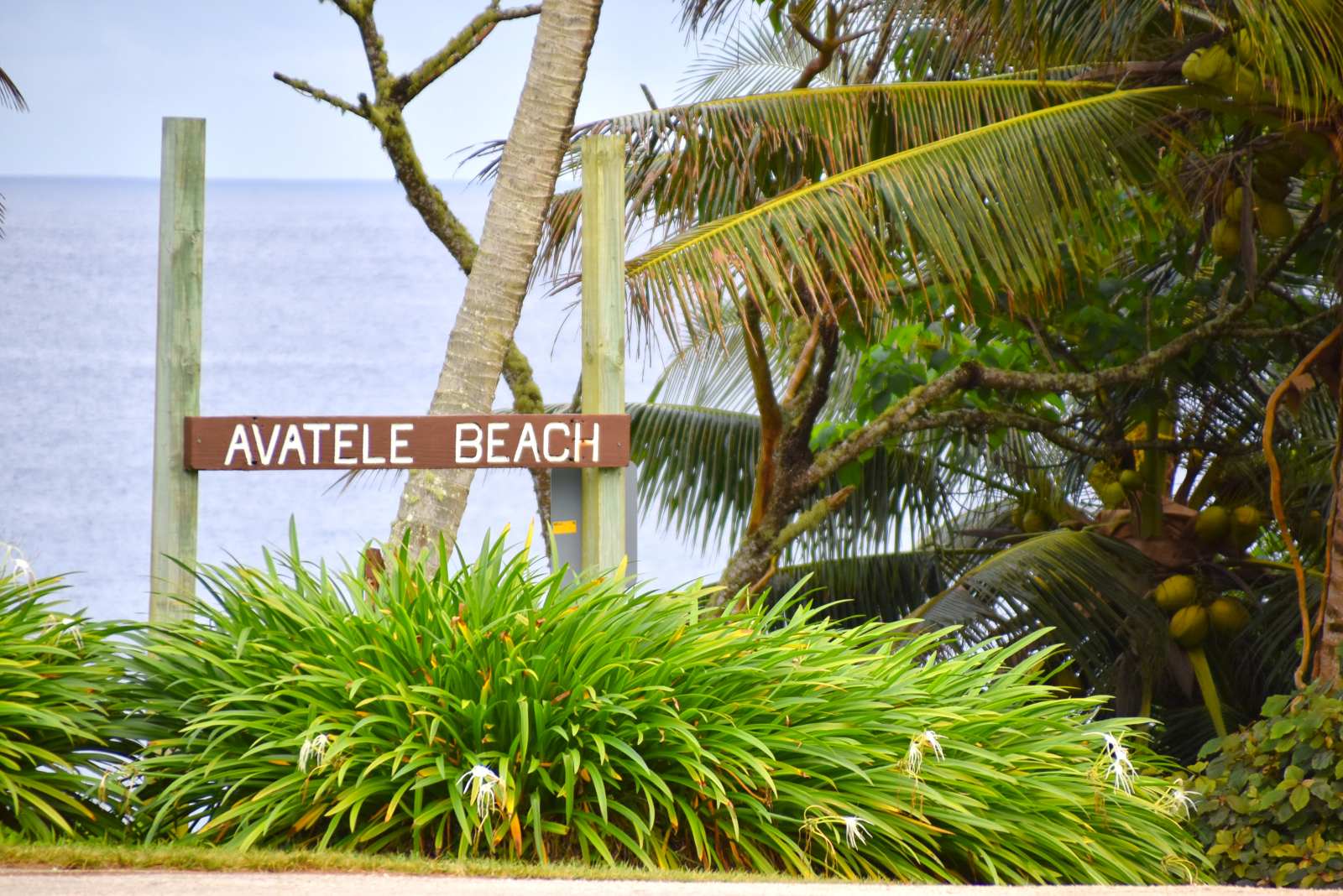 5 Best Accommodation in Avatele