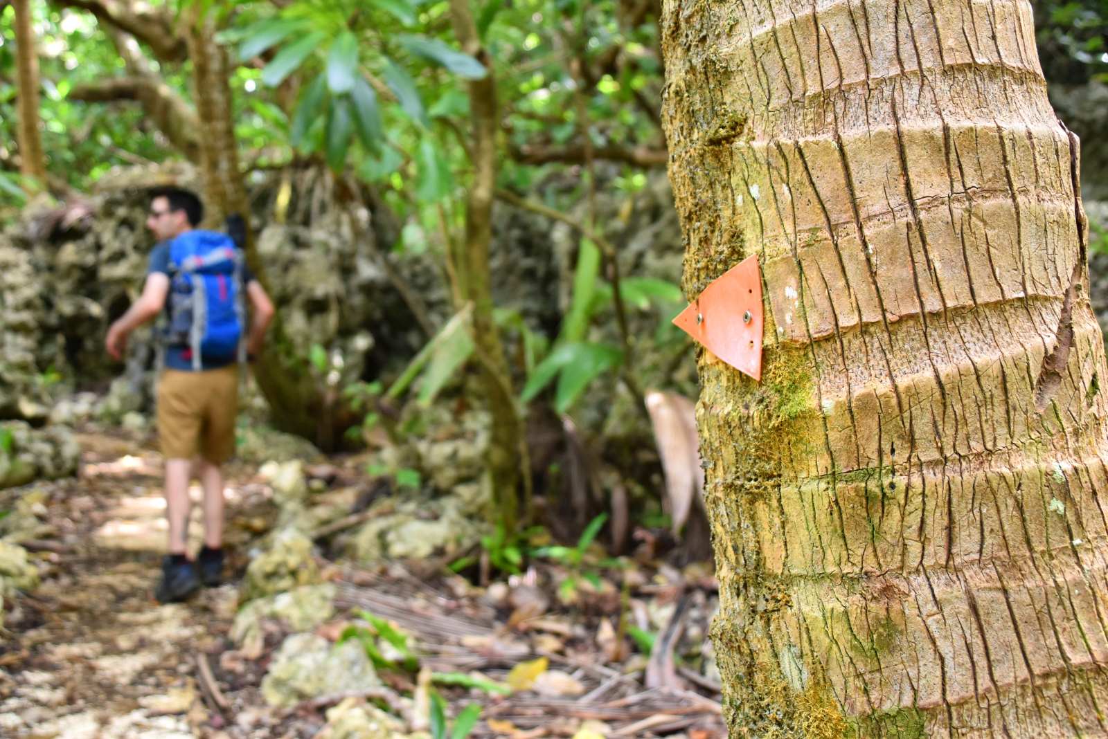 10 Best Hikes in Niue