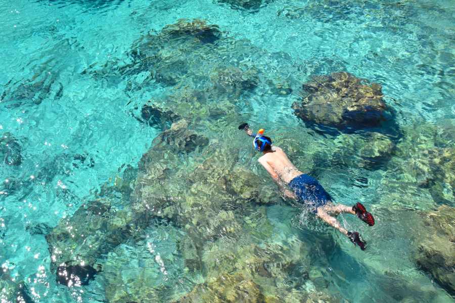 10 Must-Do Tours in Niue
