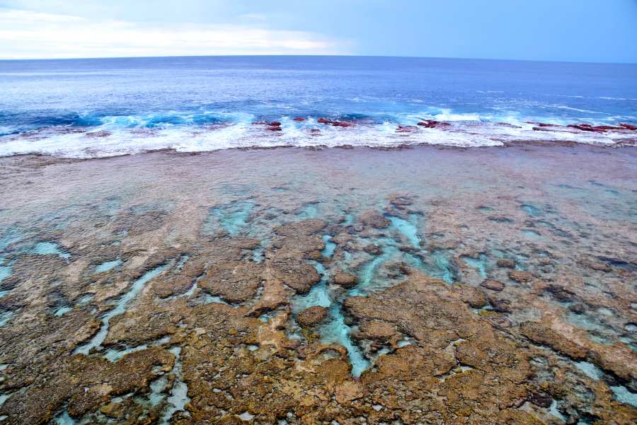 6 Best Reef Walks in Niue