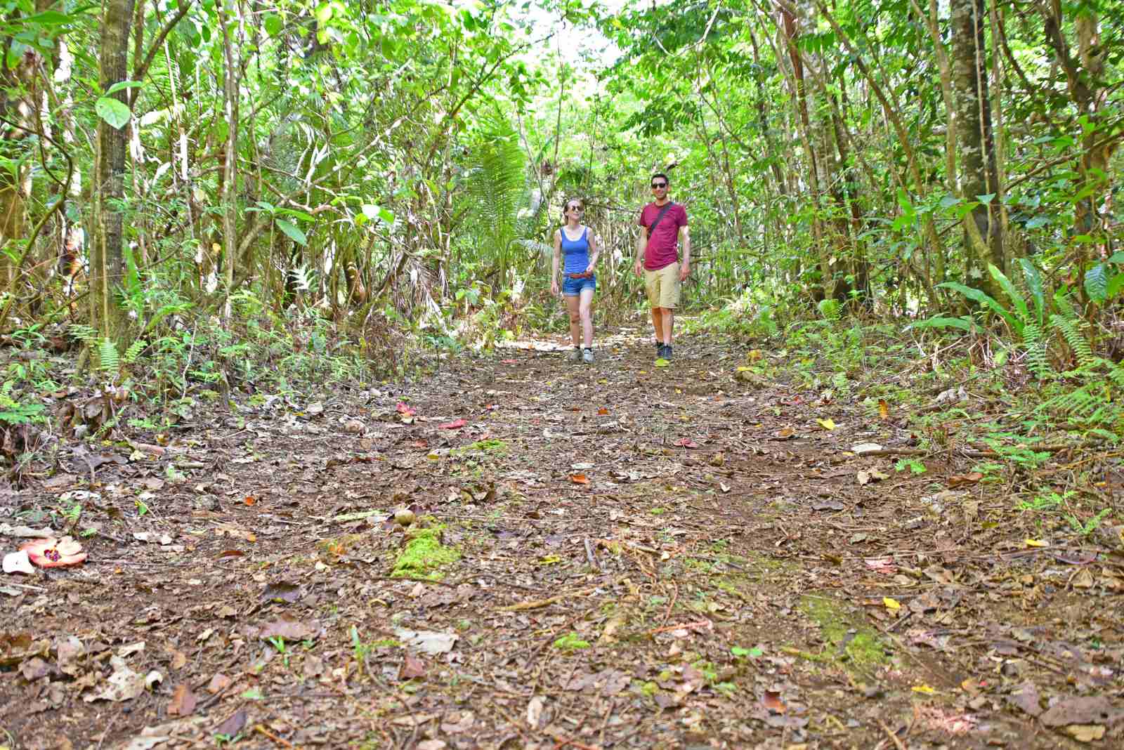The Guide to Walks in Niue