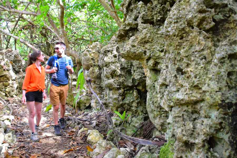 10 Best Hikes in Niue