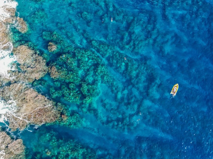 The Best Boat Tours in Niue