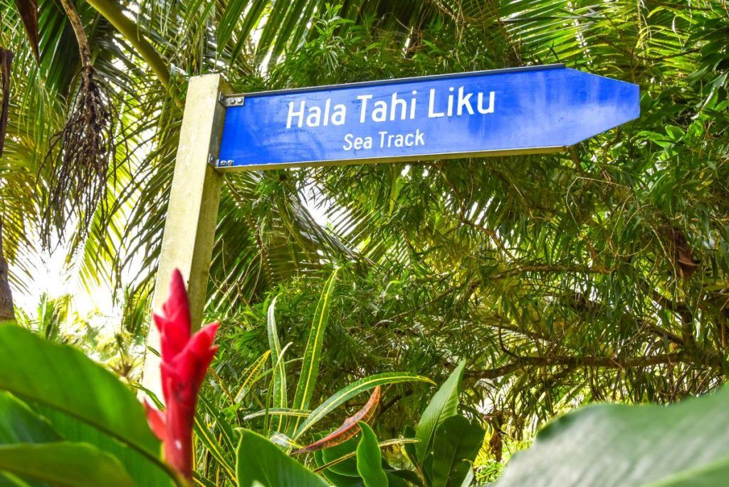 10 Tips for Walking &amp; Hiking in Niue