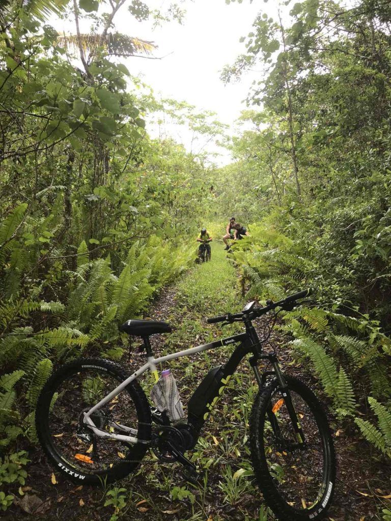The Guide to Mountain Biking in Niue