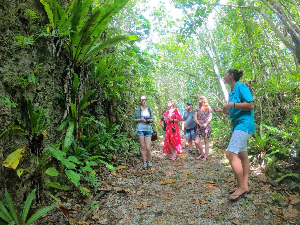 10 Tips for Walking &amp; Hiking in Niue