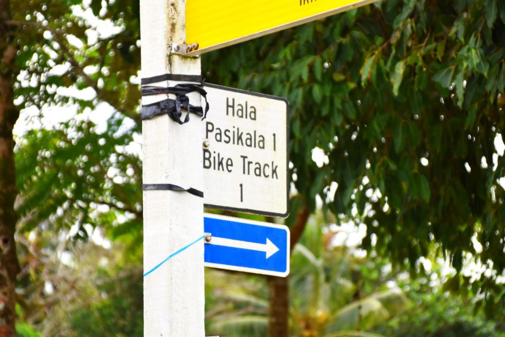 5 Best Things to Do in Tamakautoga