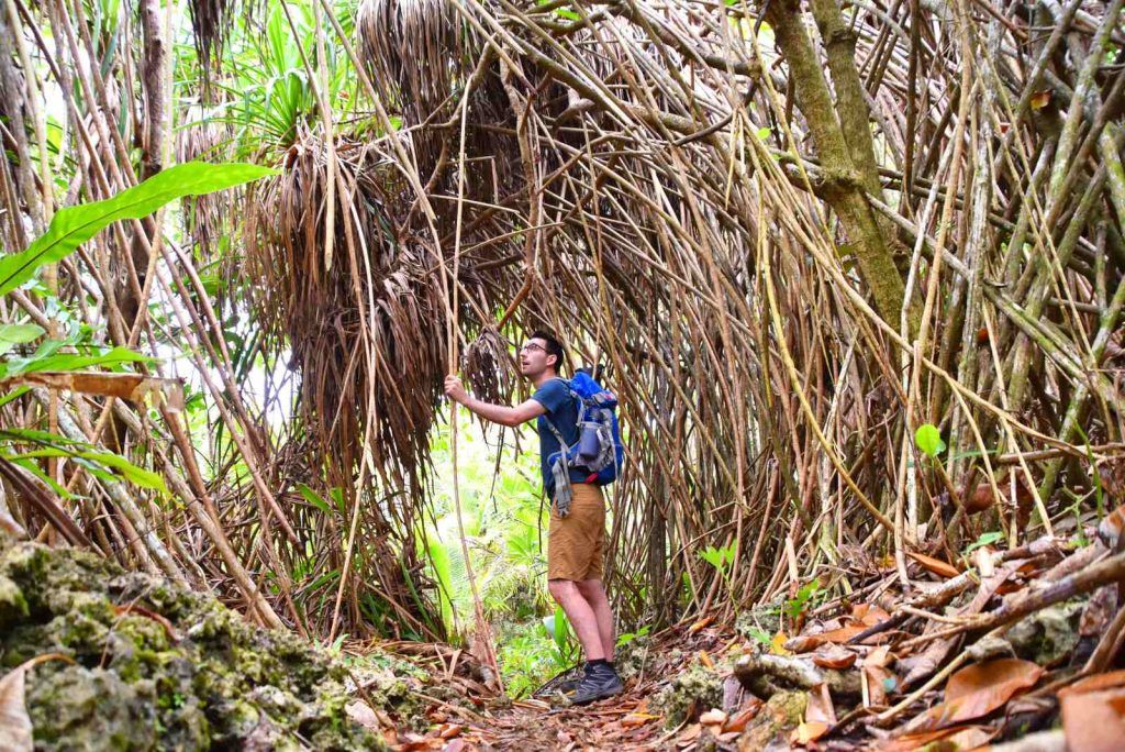 How to Experience the Huvalu Forest Conservation Area