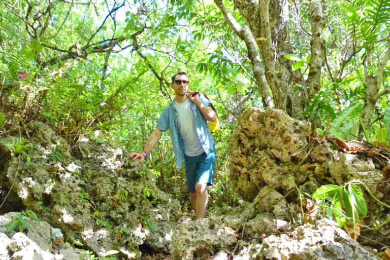 25 Ways to Travel More Sustainably in Niue
