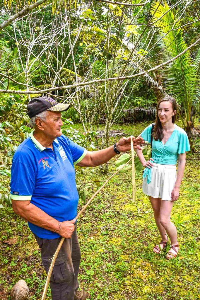 5 Best Culture Tours in Niue [2023]