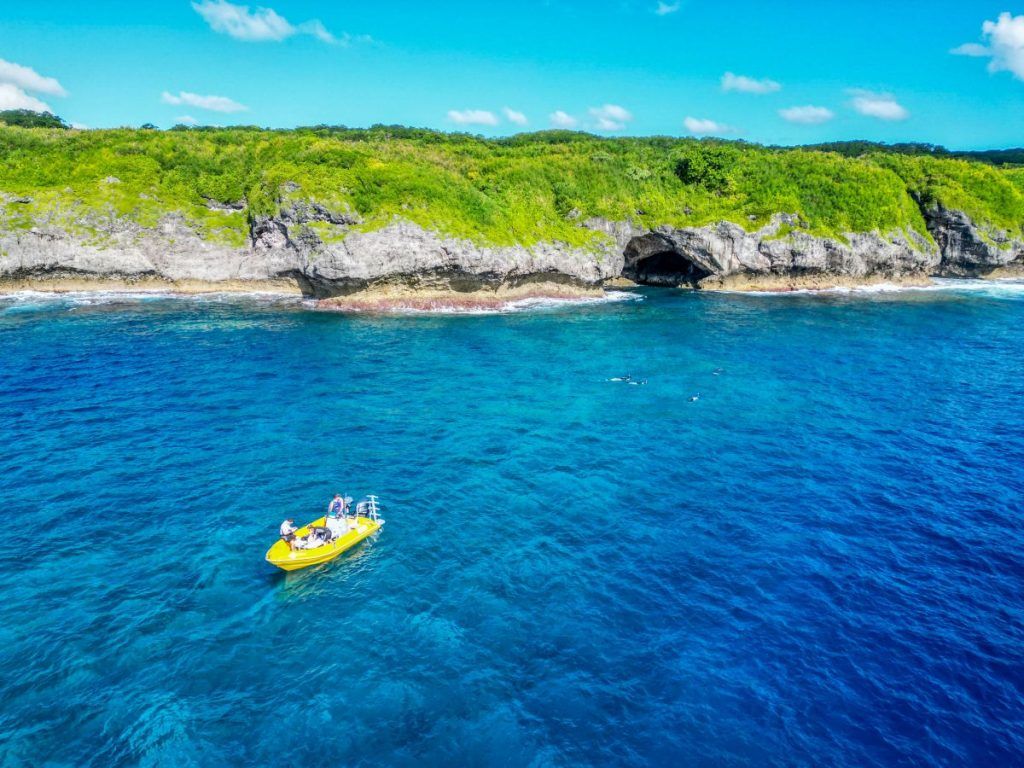 The Guide to Scuba Diving in Niue 🤿 [2023]