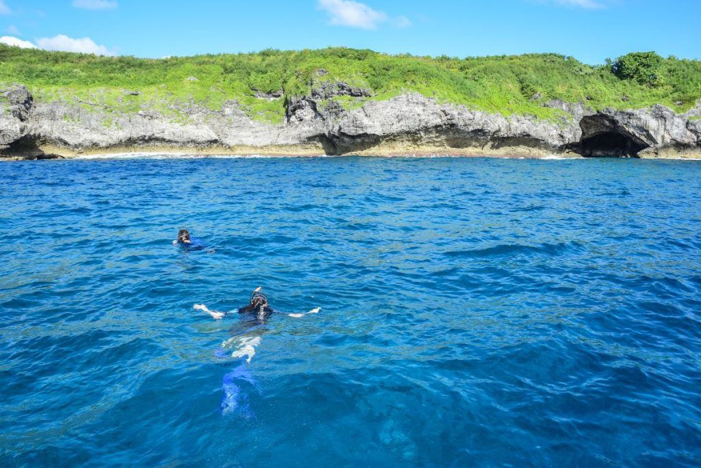 10 Best Wildlife Tours &amp; Experiences in Niue [2023]
