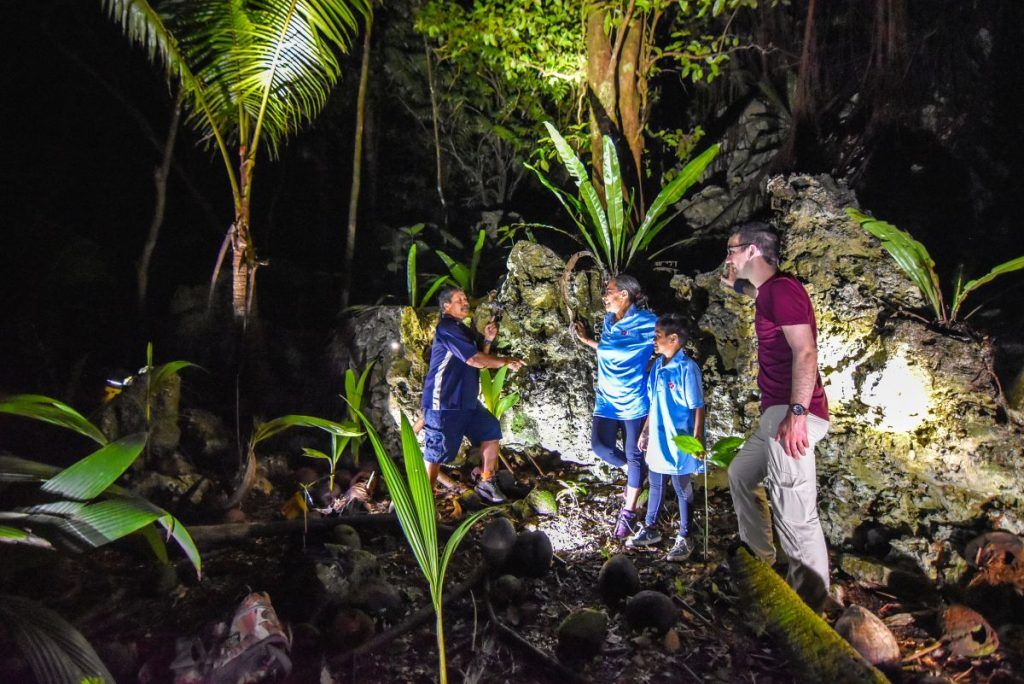 5 Best Culture Tours in Niue [2023]
