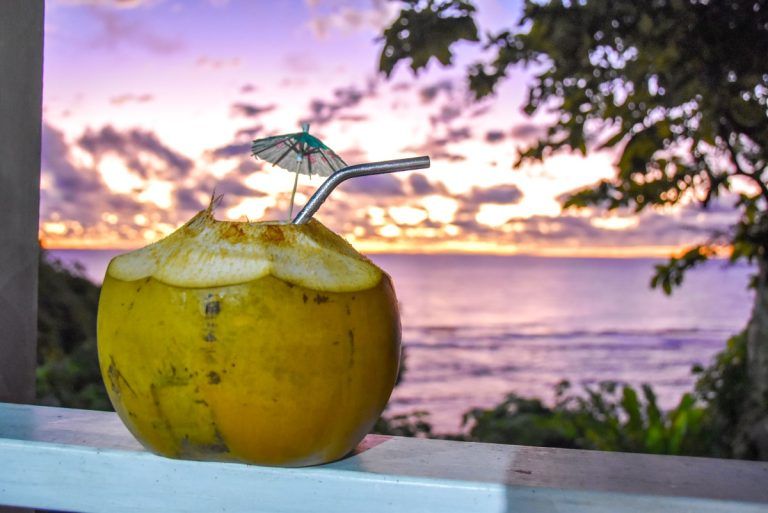The Ultimate Guide to the Niue Nightlife