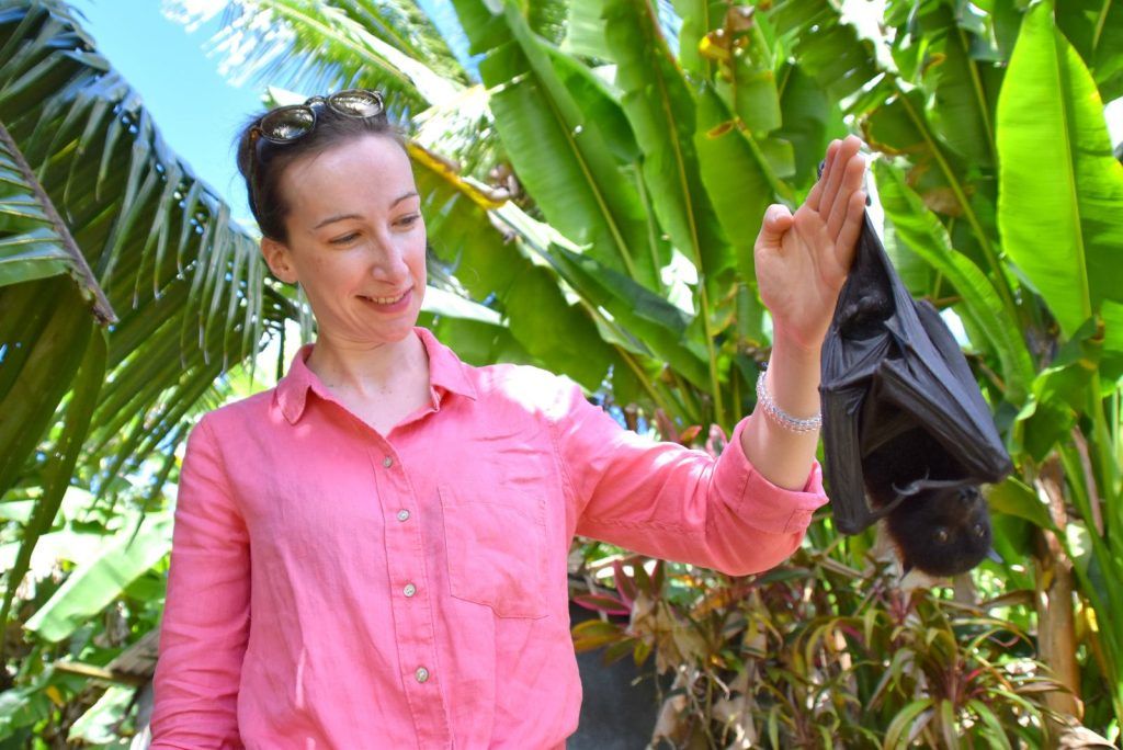 10 Ways to Avoid Mosquito Bites in Niue