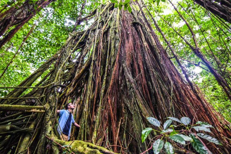 A Guide to the Huvalu Forest: Bike Trails, Tours, Walks & More