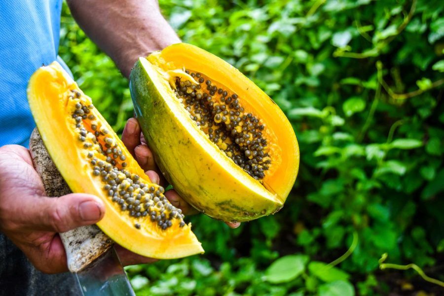 10 Exotic Fruits in Niue You HAVE to Try!