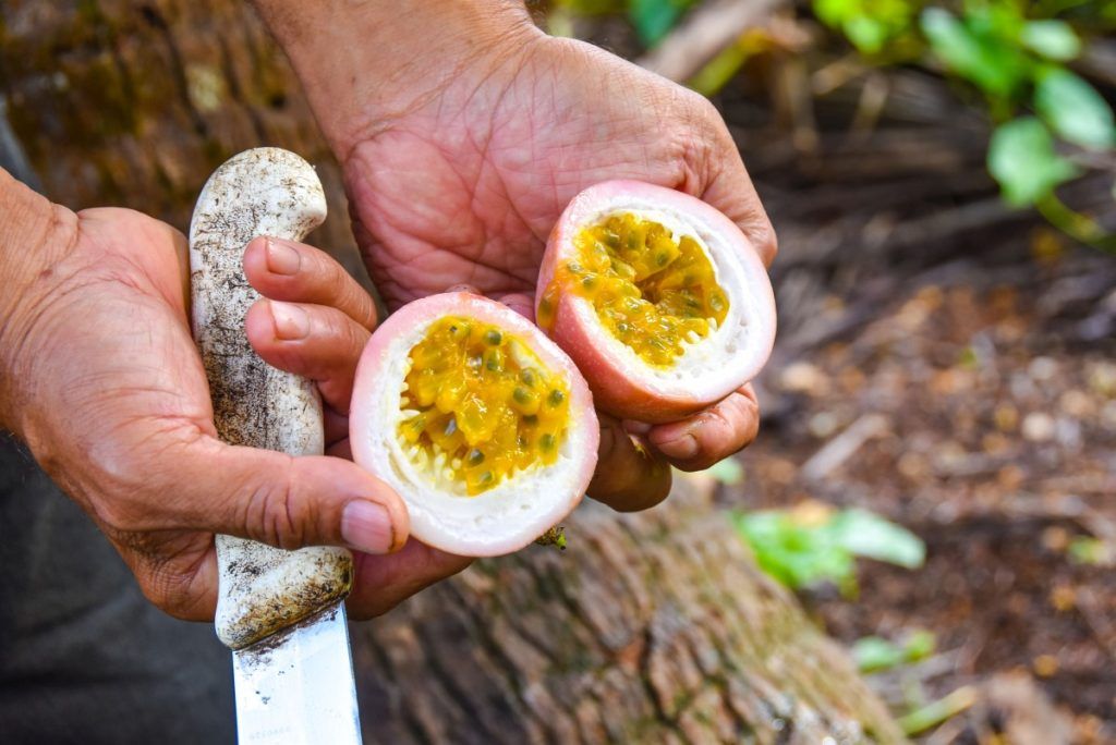 10 Exotic Fruits in Niue You HAVE to Try!