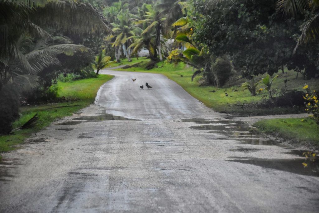 10 Ways to Avoid Mosquito Bites in Niue