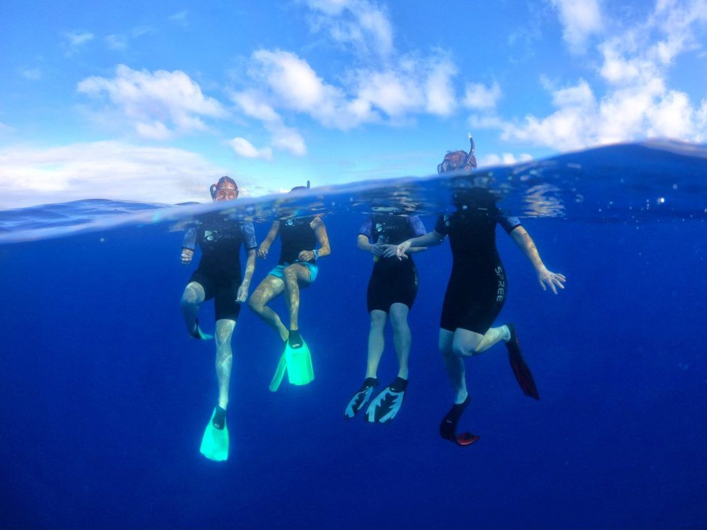 The Best Guided Snorkelling Tours in Niue [2023]