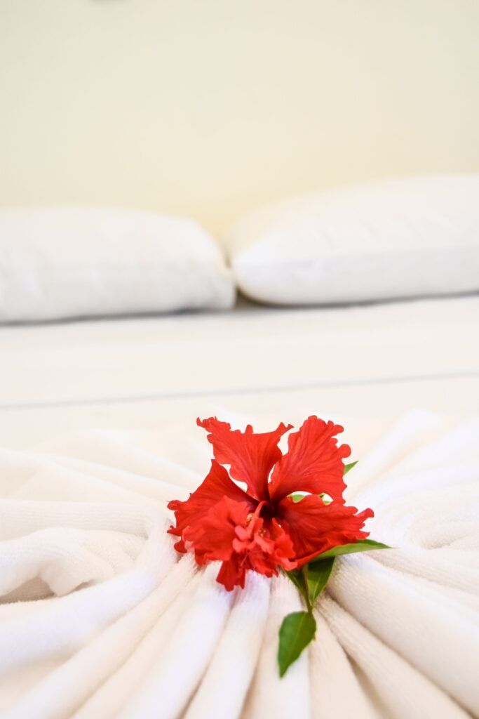 The 30 Best Accommodations in Niue 🌴 [2025]