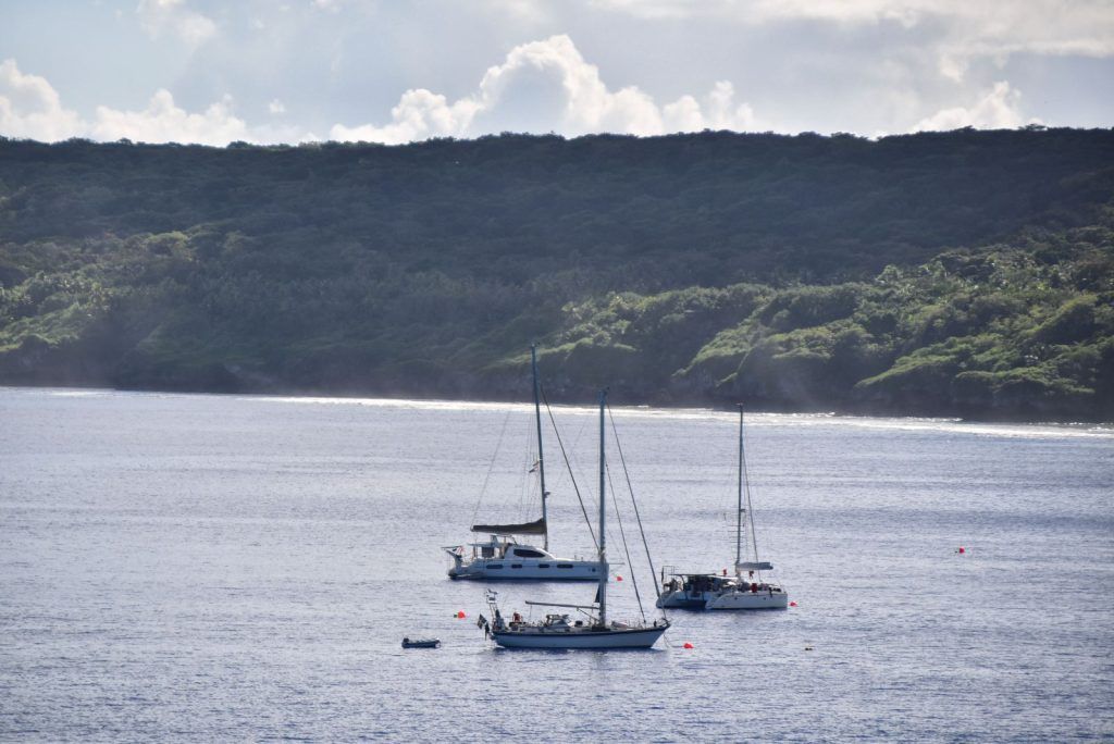 10 Things to Know Before Arriving in Niue on a Yacht
