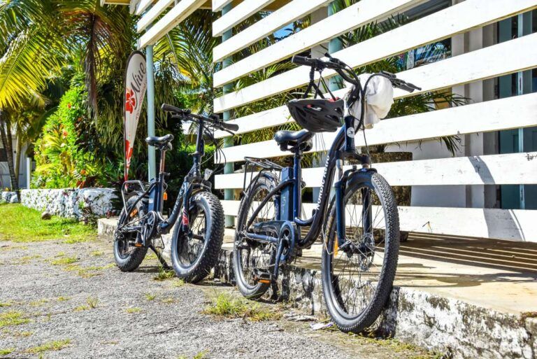 The 31 Best Accommodations in Niue 🌴 [2025]