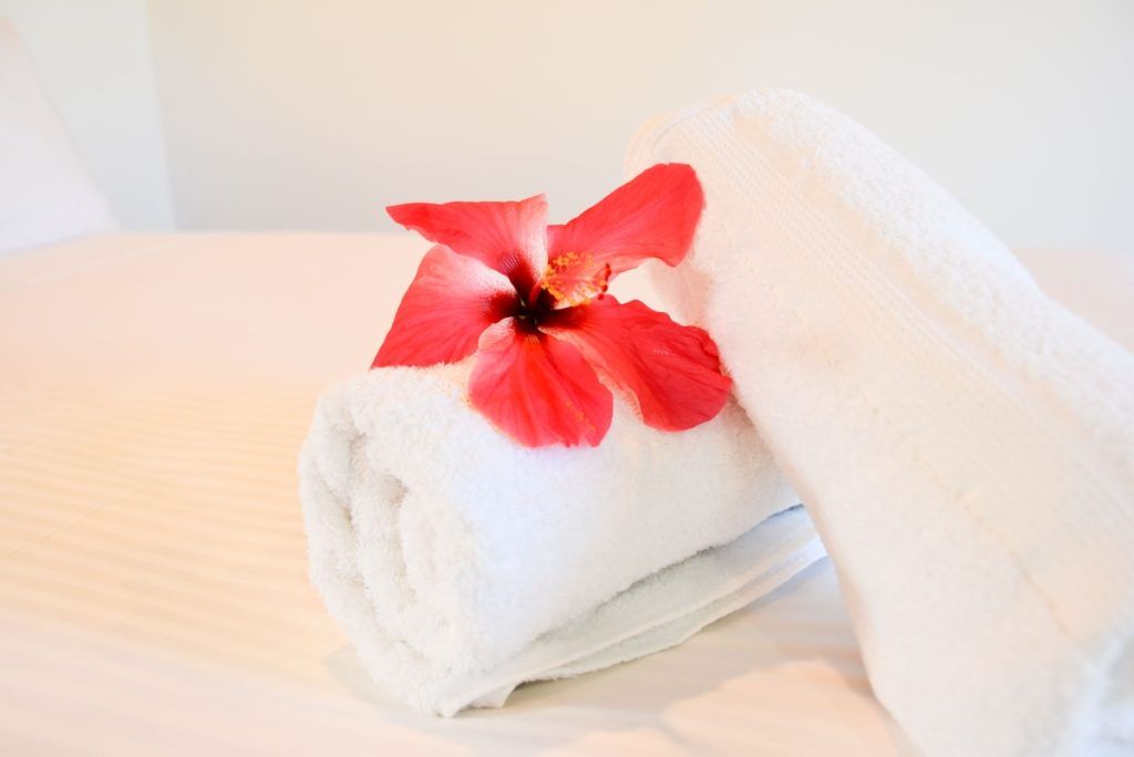 10 Best Guesthouses & B&Bs in Niue [2023]